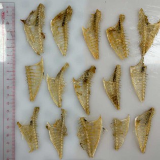 Dried Yellow Trevally Fish Bone